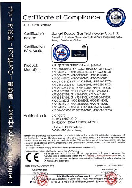 چین Jiangxi Kappa Gas Technology Co.,Ltd گواهینامه ها
